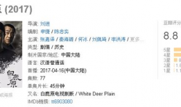 400部国产精品,映照时代光影，传承文化瑰宝